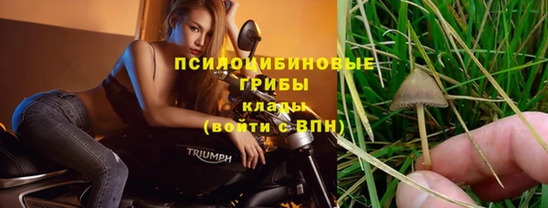 кокс Абаза