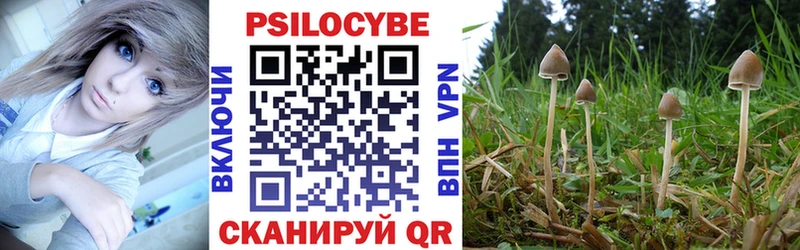 Галлюциногенные грибы Psilocybine cubensis  гидра зеркало  Александровск-Сахалинский 